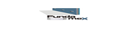 Fundamex
